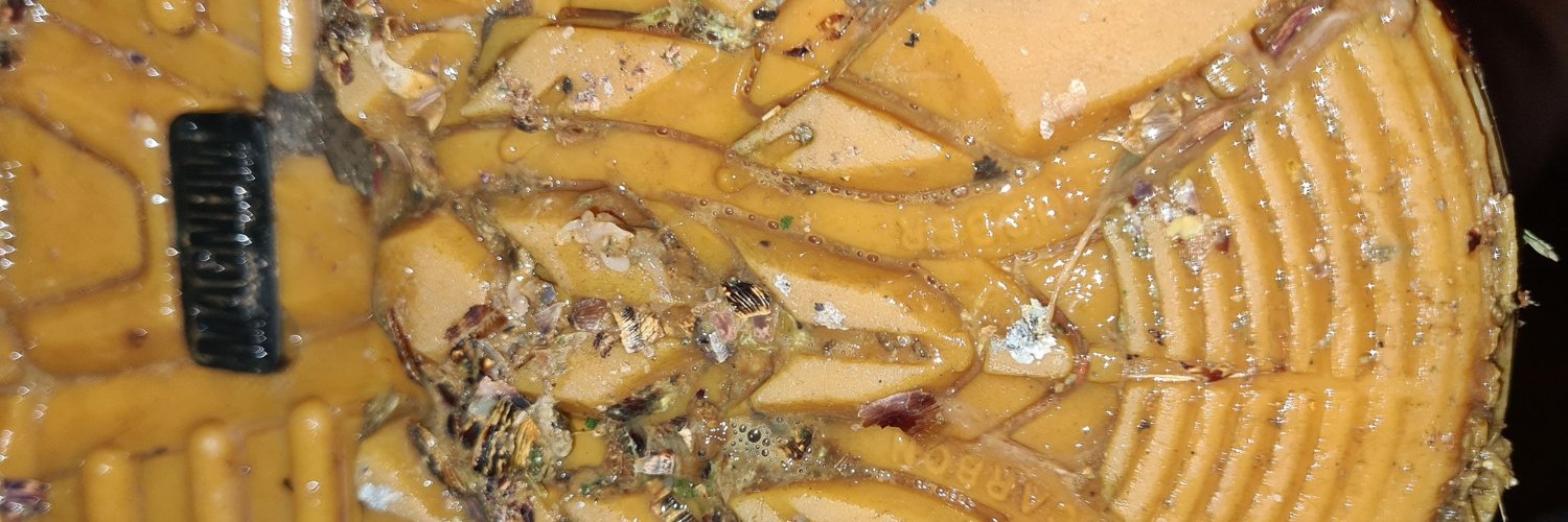 LiveUnderMyBoots banner