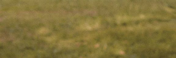 korelattae's profile banner image