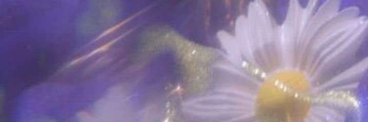 mmm_fu_55's profile banner image