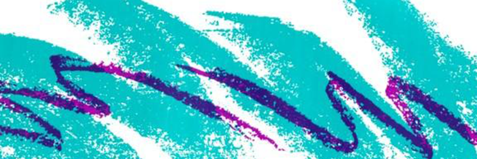 joeduvall's profile banner image