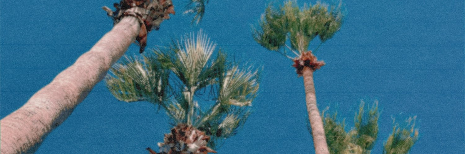 agnes banner