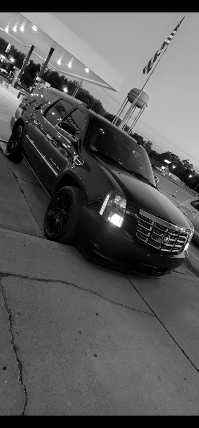 StephaniesWorld banner