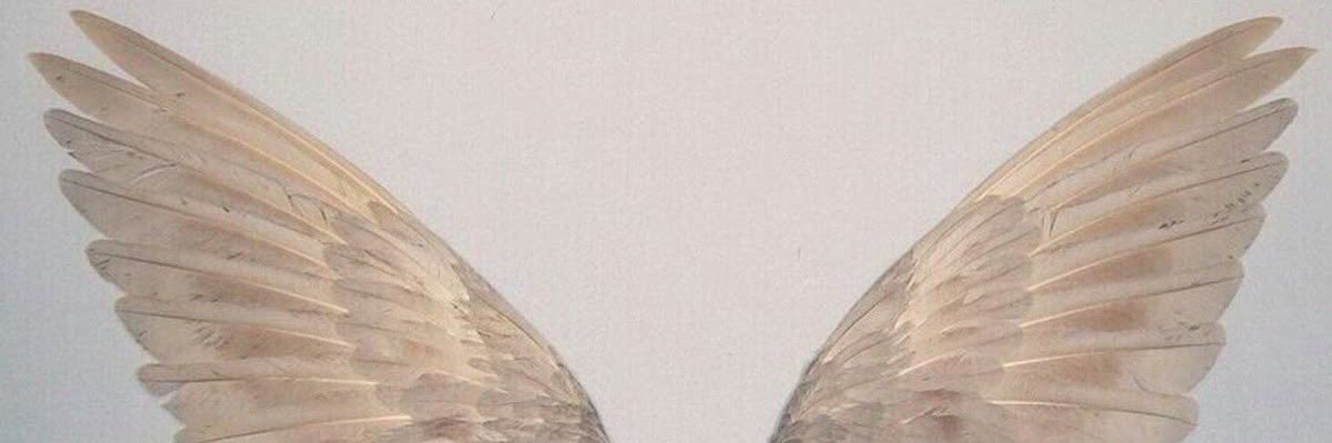 loveulikeuneed's profile banner image