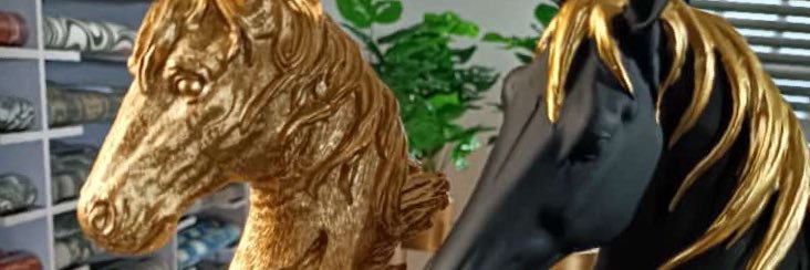 olu_sally's profile banner image
