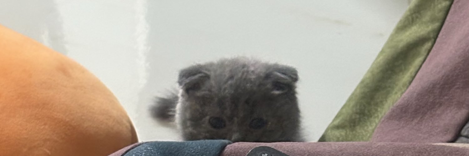 madmazelfox's profile banner image