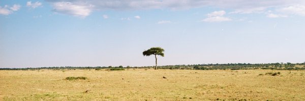 jonathan_feng Profile Banner