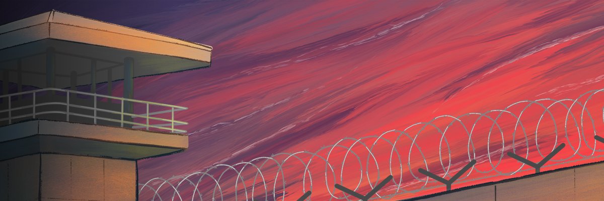 Raccoons In Custody banner