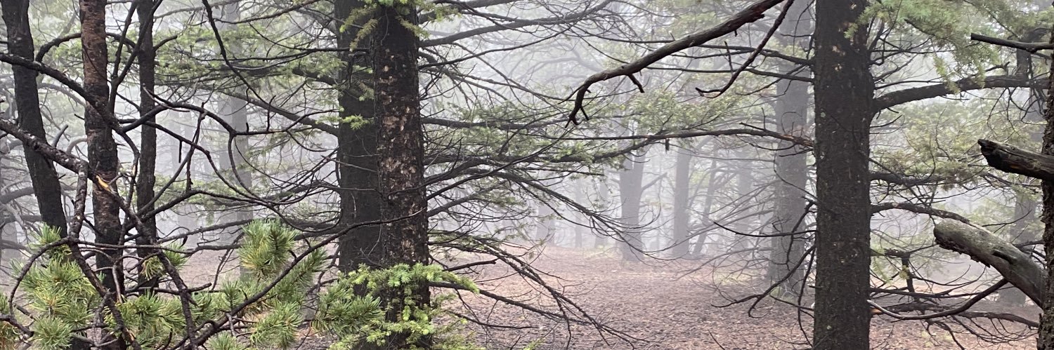 devin1100's profile banner image