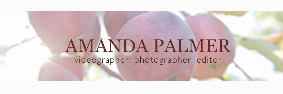 Amandalcam banner