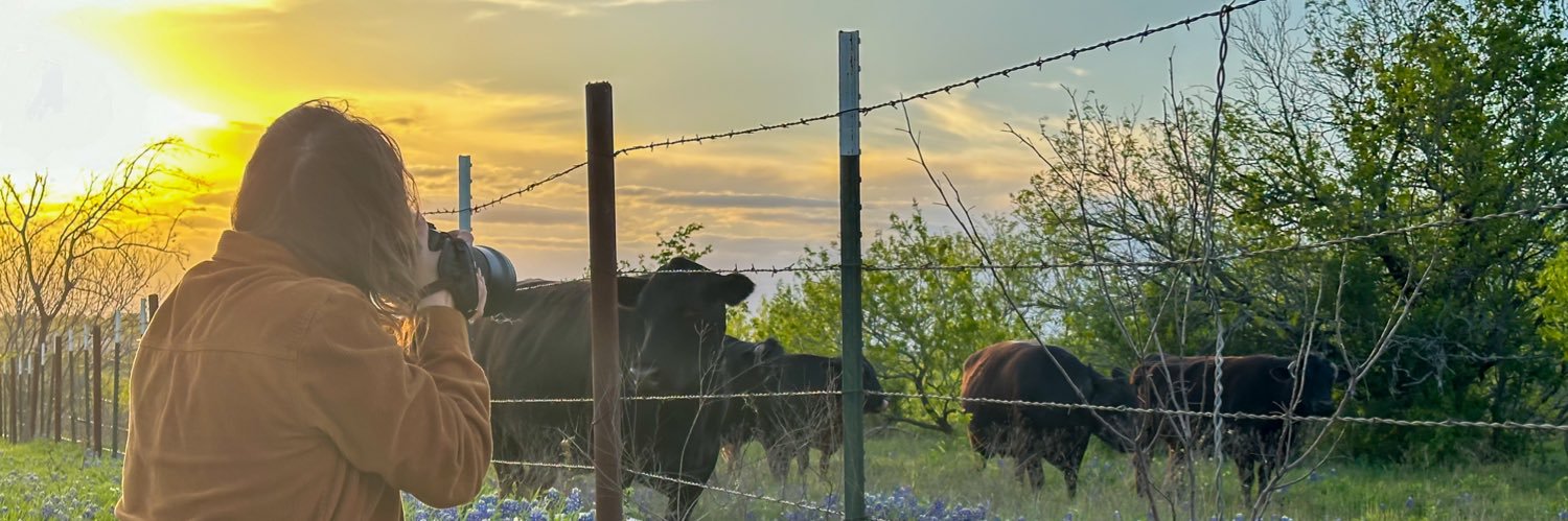 Andy Lane Photography banner