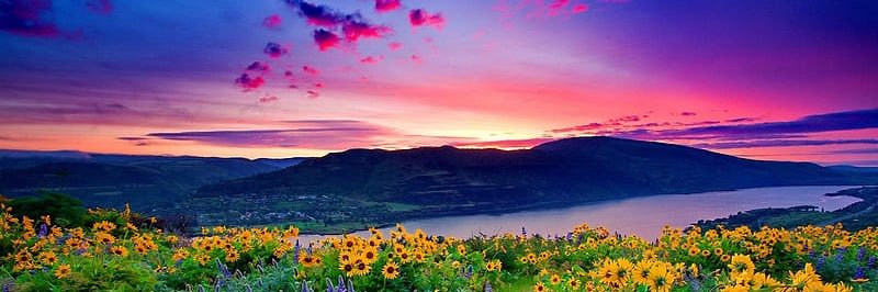 Elizabeth Lee ❤️ banner