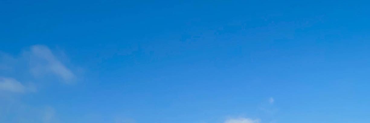 sofialongo_'s profile banner image