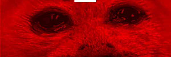 ectoentropic Profile Banner