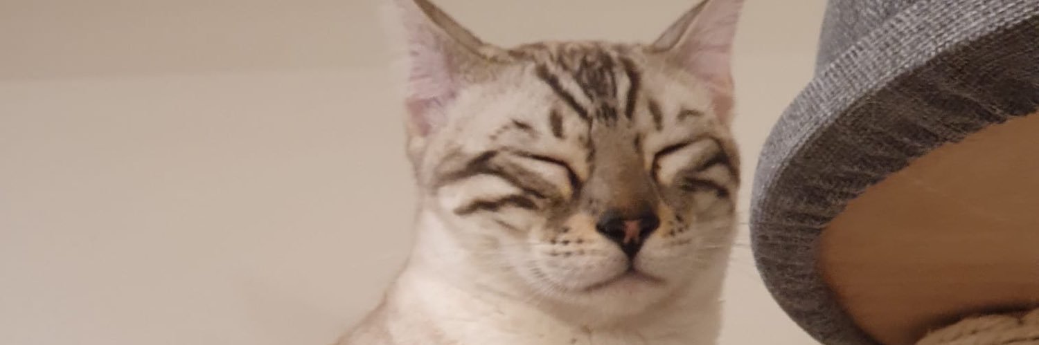 finzer1's profile banner image