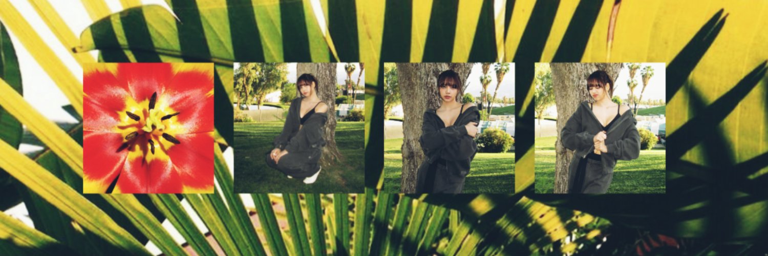 ✷ banner