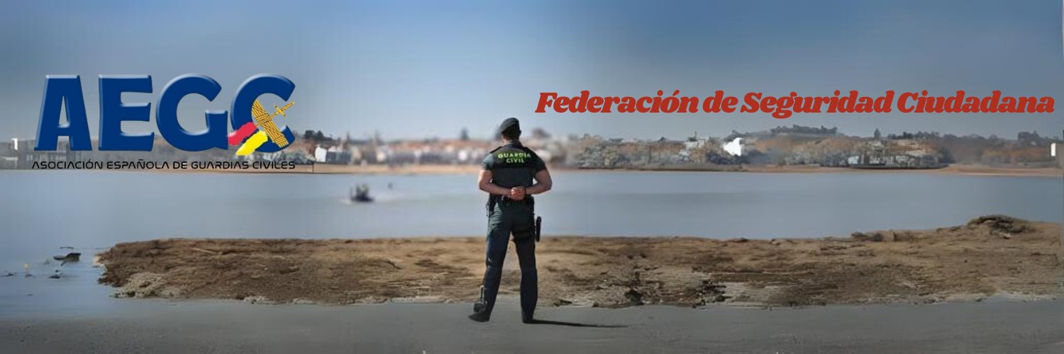 AEGC_SeguridadCiudadana banner