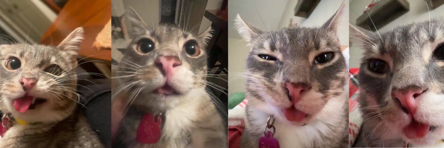 ButterMyBreadWB banner