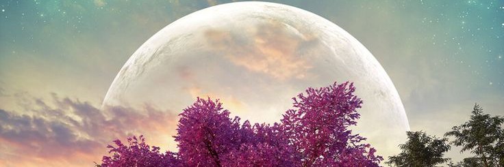 GM.GN banner