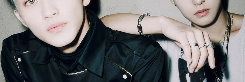 zi | ia banner