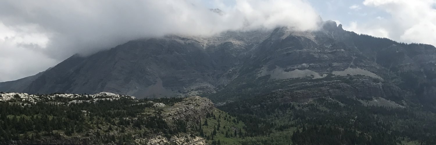 reeciferr's profile banner image