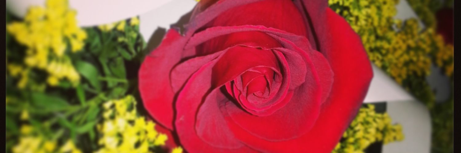 Yoclanisu's profile banner image