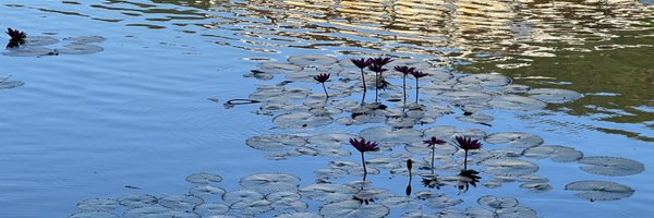 _jhapes Profile Banner