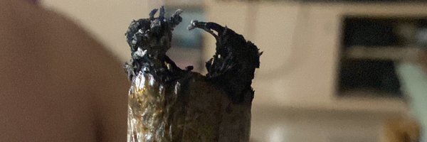 21guerreroo Profile Banner