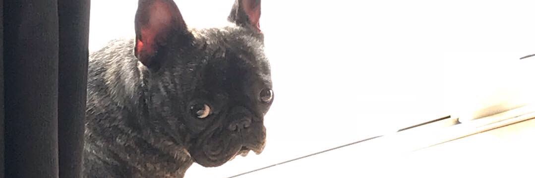 conbu_m's profile banner image