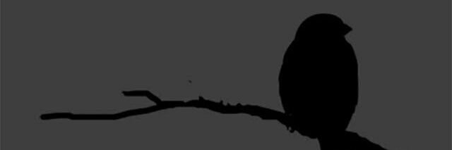 ItzMeeDada's profile banner image