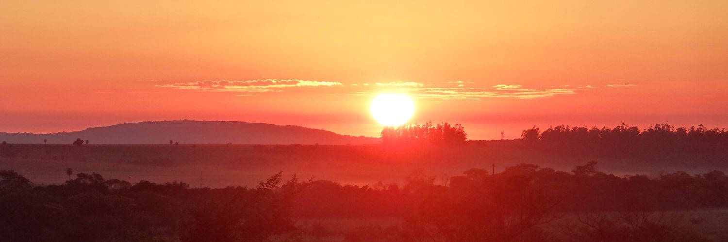 Judith Pereira banner