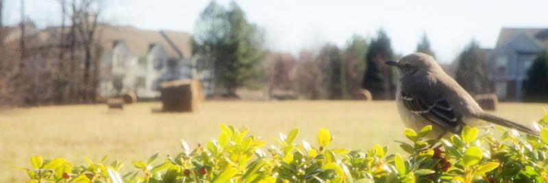 omarbog4's profile banner image