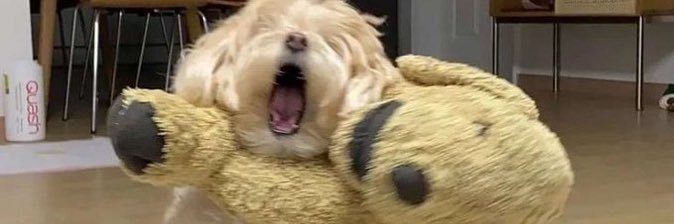ZekeiahBrown's profile banner image
