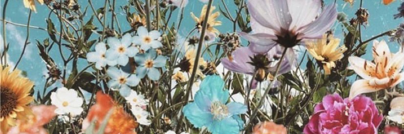 kelskohnke's profile banner image