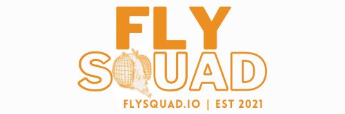 FlySquadNFT banner