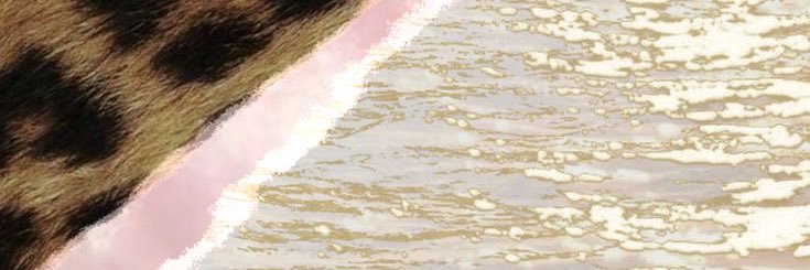 viforsure's profile banner image