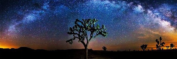 WritingWithSush Profile Banner