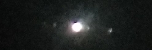 Childless Cat Gentleman banner