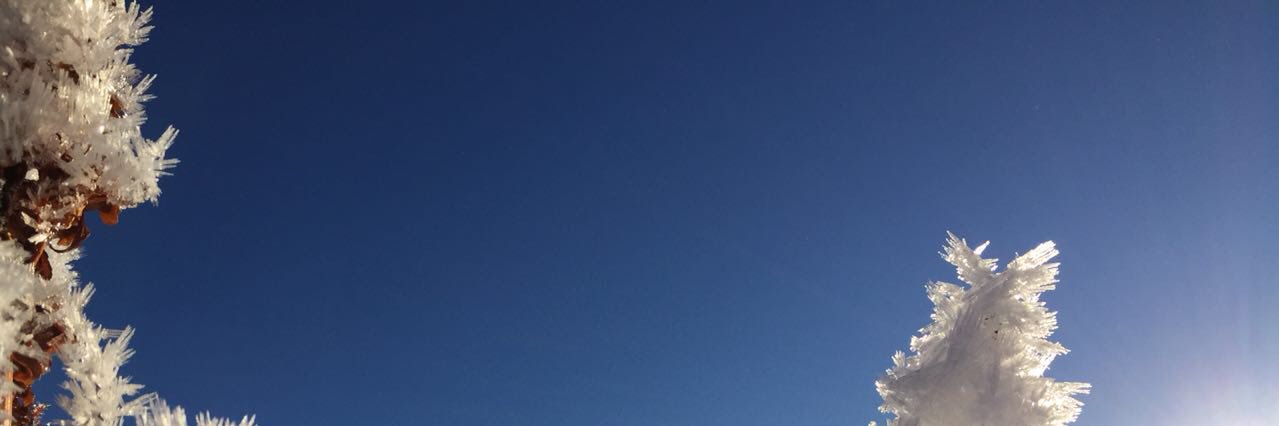 zlowenka's profile banner image