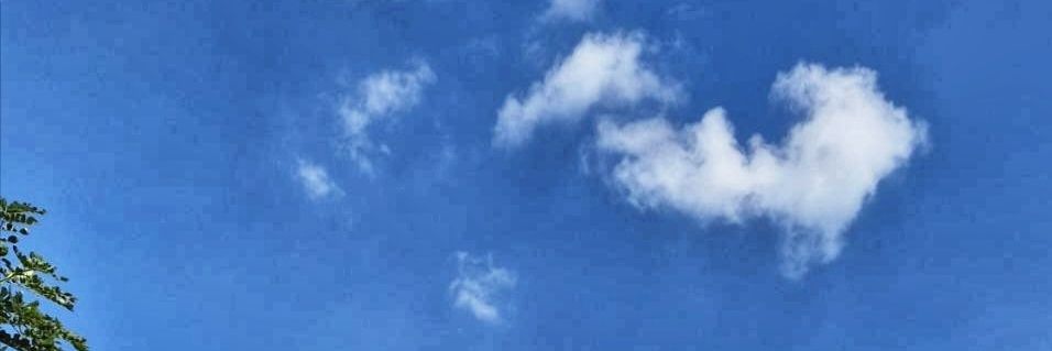 StravingGirl's profile banner image
