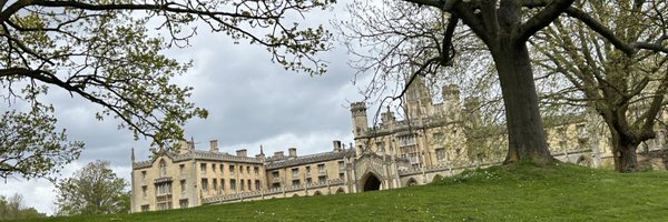 Doveye Profile Banner