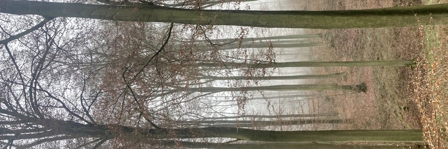 alpha_vuylsteke's profile banner image