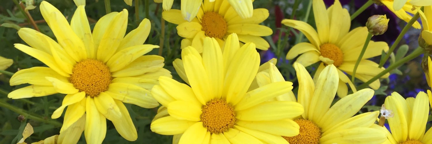 KatelynWickman's profile banner image
