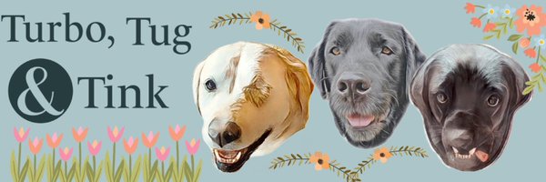 TNflattop Profile Banner