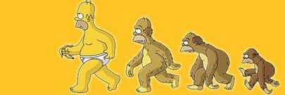 Homer Balboa banner