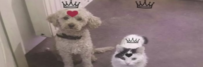 josifsk's profile banner image
