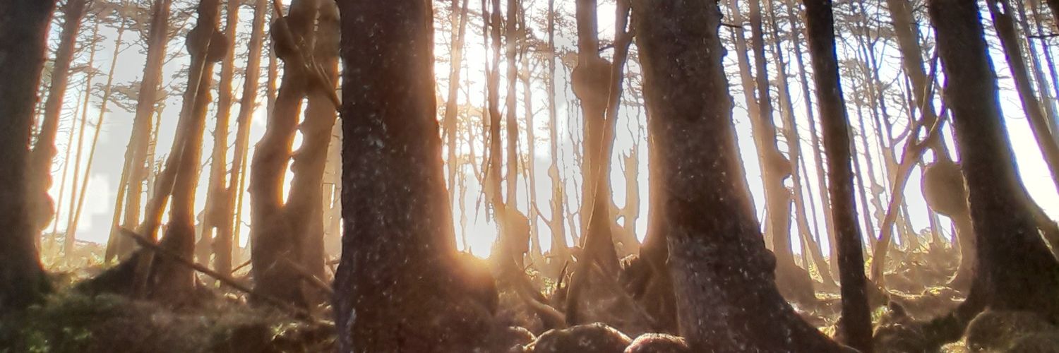 AttackedByTrees banner
