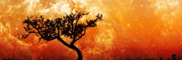 nathanhamiel Profile Banner