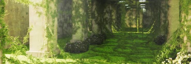 0Flower_Field0's profile banner image
