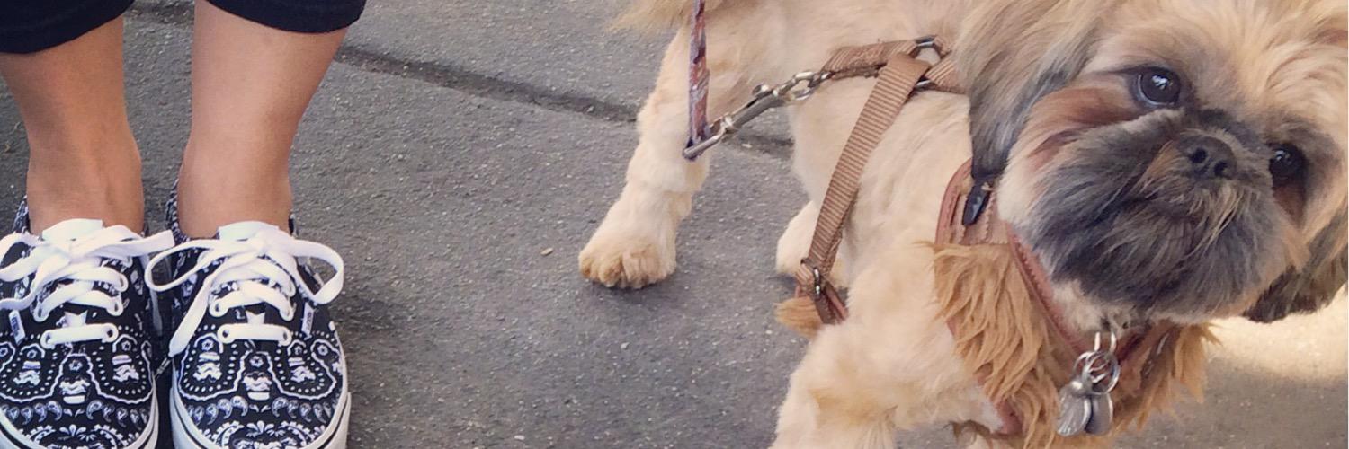 LilMissCeeJ's profile banner image