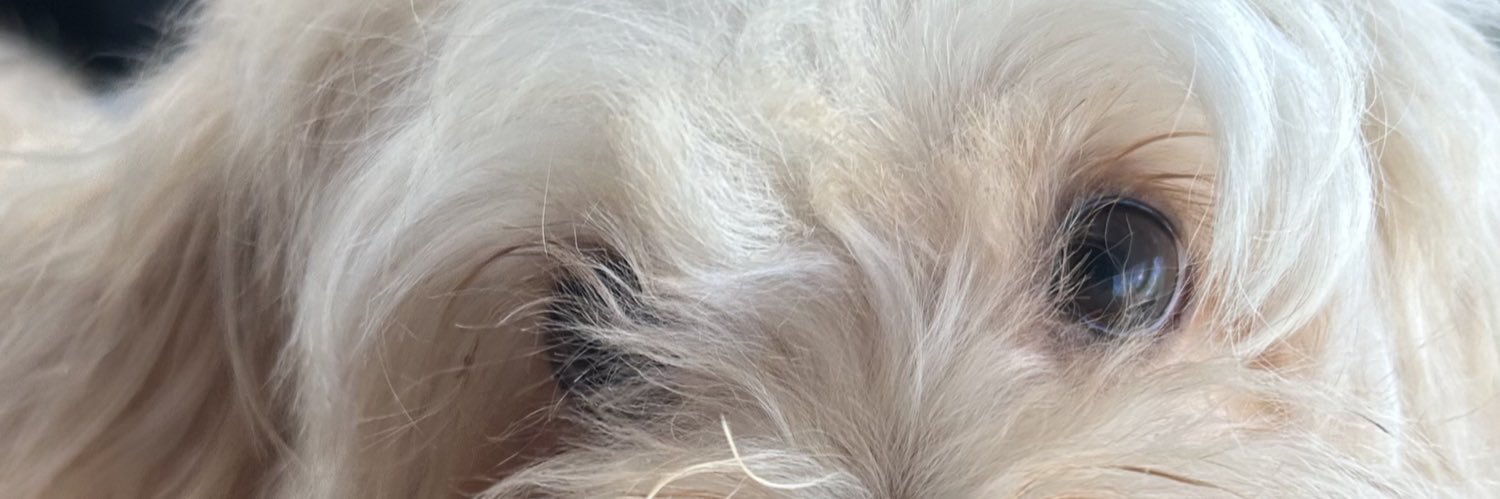 ely 😙 banner